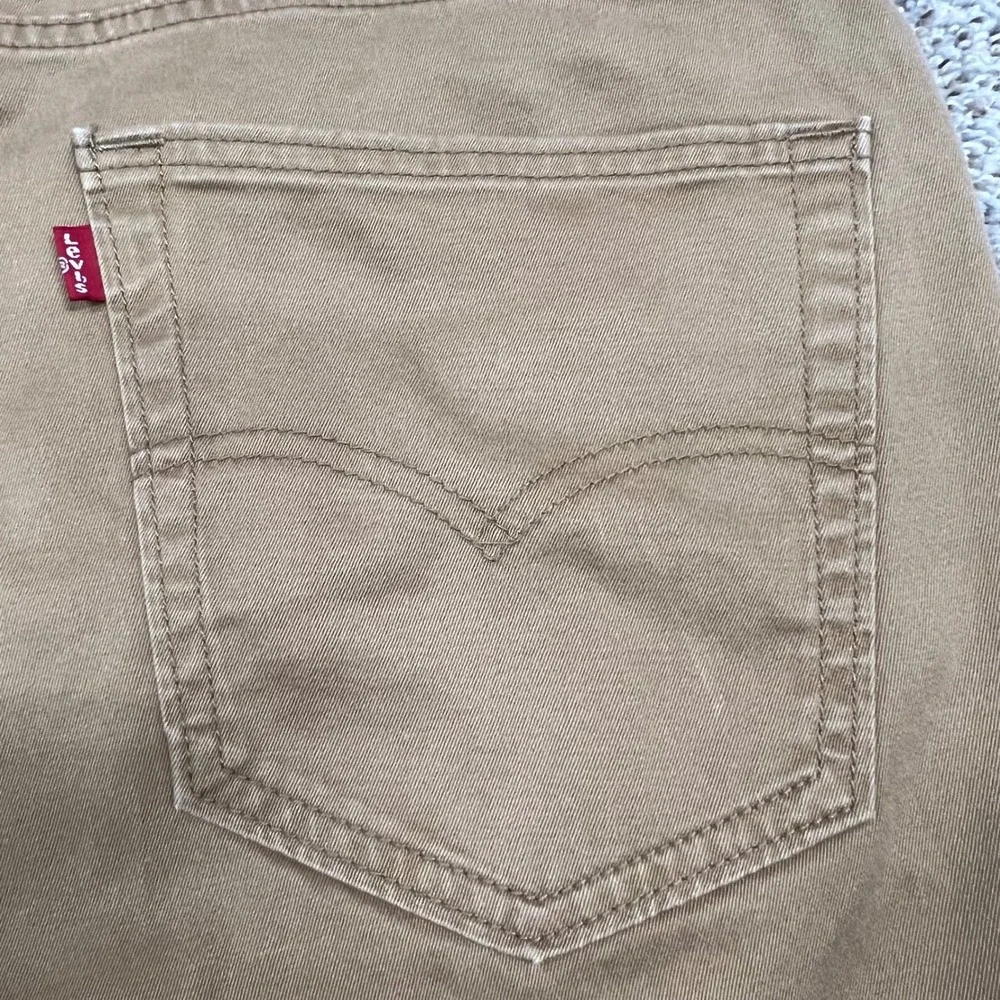 Levis levi 541